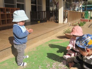 花びらを拾ってみています