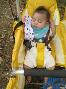 気持ちのいい天気にウトウト