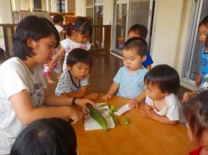 大きなゴーヤだなあ