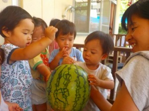 こんこんこん。