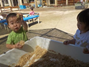 おおきなおだんこだね