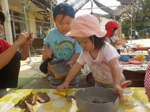 どんぐりごはんお出来上がり