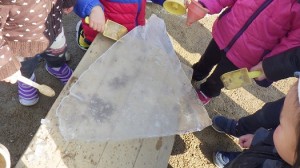 とても大きかったです