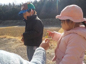 かわいいお花だなあ