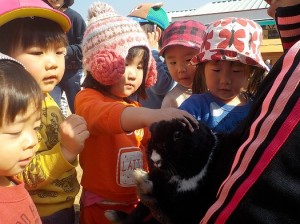 なでなでできたよ