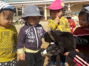 うさぎさんこんにちは