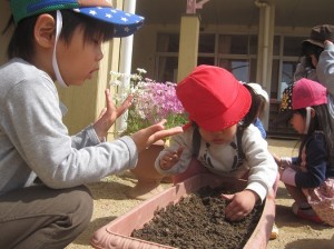 優しく土をかけています。