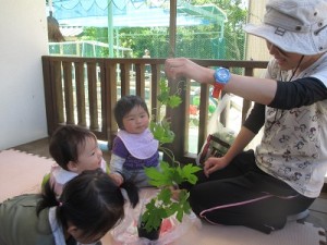 みんなとおんなじぐらい大きいね