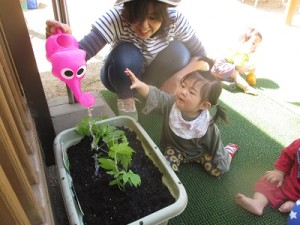 お水触ってみたいな～