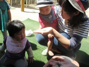 ににんじんの種って小さいね