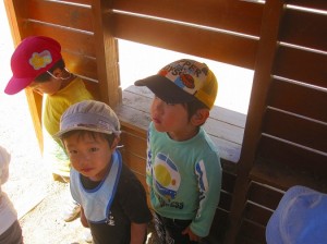 お家の中は涼しいなあ