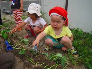 優しく土をかけていました
