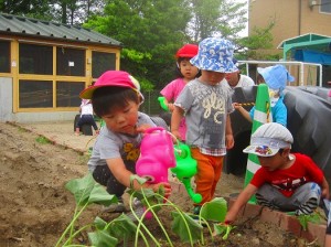 お水もしっかりあげようね