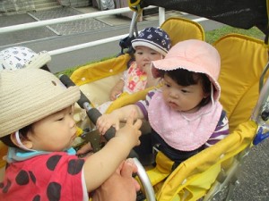 シロツメクサみーつけた