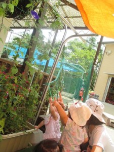 あった、あった