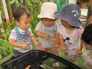 これなあに？かぶとむしだよ。