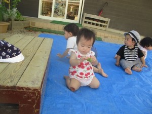 はっぱみーつけた 