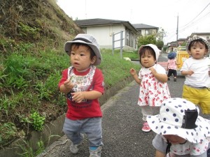 ねこじゃらしみつけた