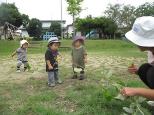 つなひきみたいだね