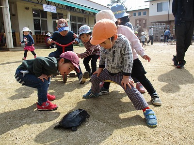 おはようカメさん